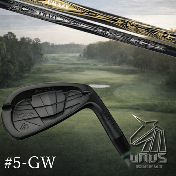 BALDO UNUS MODEL MCB FORGED IRON 番手 #5/#6/#7/#8/#9/PW/GW ロフト角 24°/27°/30°/34°/38°/42°/47° ライ角 60.5°/61°/61.5°/62°/62.5°/63°/63.5° ヘッド重量 254.0g/261.0g/268.0g/275.0g/282.0g/289.0g/296.0g FP値 3.8mm/3.8mm/4.0mm/4.0mm/4.1mm/4.1mm/4.1mm ●素材製法● 軟鉄鍛造（S20C）／CNC加工 ※製品には表示スペックと多少の誤差が生じる場合がありますのでご了承下さい。 ※こちらの商品はオーダーメイドとなります。ご注文確定後、お客様のご要望に応じてカスタムいたします。 ※また、メーカー欠品等により、ご注文をキャンセルさせていただくことが稀にございます。予めご了承願います。BALDO UNUS MODEL MCB FORGED IRON 番手 #5/#6/#7/#8/#9/PW/GW ロフト角 24°/27°/30°/34°/38°/42°/47° ライ角 60.5°/61°/61.5°/62°/62.5°/63°/63.5° ヘッド重量 254.0g/261.0g/268.0g/275.0g/282.0g/289.0g/296.0g FP値 3.8mm/3.8mm/4.0mm/4.0mm/4.1mm/4.1mm/4.1mm ●素材製法● 軟鉄鍛造（S20C）／CNC加工 UNUSアイアンのバックフェースに刻まれた“MATRIX CONTROL BLADE”は、 複雑な幾何学パターンと立体造形を融合させた精密構造です。 ブレード状に配置されたラインは、インパクトエネルギーを中央へ集め、 外側へ均一に分散させることで、方向性と安定性を高めます。 打点ブレを抑える構造強度、不要な振動を抑制するリブ配置、 反発均質化するエネルギーフロー設計。 これらが一体となることで、 プレミアムな打感と安定した飛びを生み出す“機能美のブレード”として機能しています。 オフセンターヒットそのものを感じさせない。 “ミスに強い”というより、ミスヒットが起こりにくくなる設計。 その新しい安定感を、UNUS FORGED IRON でぜひ体感してください。 ※製品には表示スペックと多少の誤差が生じる場合がありますのでご了承下さい。 ※こちらの商品はオーダーメイドとなります。ご注文確定後、お客様のご要望に応じてカスタムいたします。 ※また、メーカー欠品等により、ご注文をキャンセルさせていただくことが稀にございます。予めご了承願います。