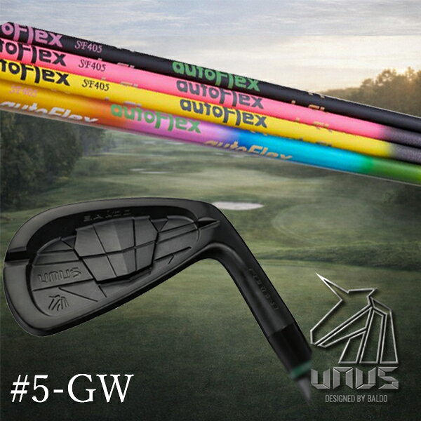 樂天商城 - ＃5-GW 7本セット＃5.GW(単品) / カスタムクラブ【 左右選択 】2026 BALDO UNUS バルド ウヌス アイアン / 5営業日以内の発送