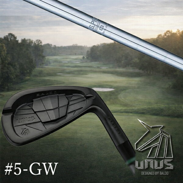 Rakuten - ＃5-GW 7本セット / カスタムクラブ【 左右選択 】2026 BALDO UNUS バルド ウヌス アイアン / NSプロ 950GH 日本シャフト アイアン / 5営業日以内の発送