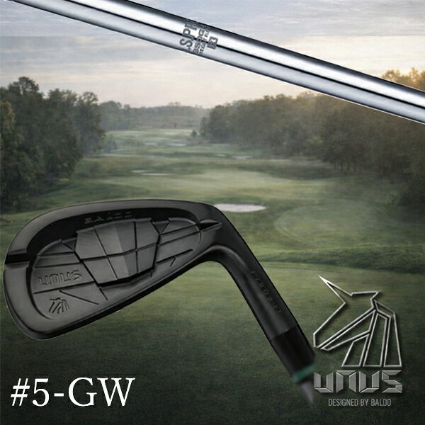 Rakuten - ＃5-GW 7本セット / カスタムクラブ【 左右選択 】2026 BALDO UNUS バルド ウヌス アイアン / NSプロ 950GH WF 日本シャフト アイアン / 5営業日以内の発送