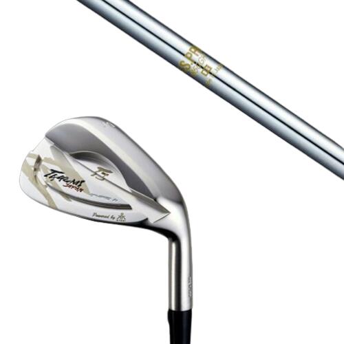 共栄ゴルフ タイプN ウエッジ NSプロ 850GH エヌエスプロ 日本シャフト タクミジャパン takumi ウェッジ