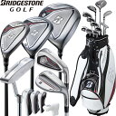 ブリヂストンゴルフ BG100 キャディバッグ付 クラブ11本組セット (1W,5W,4U,6-PW,PS,SW,PT) 【BRIDGESTONE GOLF BGLBKCR BGLSKCS】