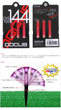 dvs144-2