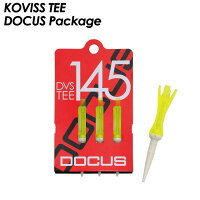 dvs145-1