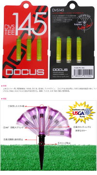 dvs145-2