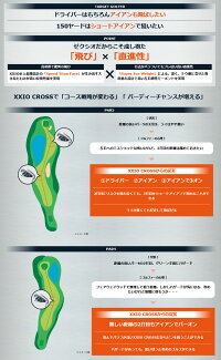 ダンロップDUNLOPメンズゴルフクラブXXIOCROSSIRONアイアンゼクシオプライムアイアン単品(#5,6,AW,DW,SW)オリジナルカーボンシャフト【newyear_d19】