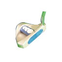 ゴルフ パター エグゼグラン アルミフェイスでソフトタッチ右用 左用【RCP】