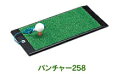 ゴルフ練習にパンチャー★GV0258【RCP】