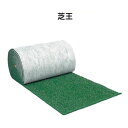 シバ マット レンジマット長さ1M、幅1MM-206 芝王 歩行者用マット【RCP】