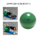 スウィングトレーニング X-21エクササイズボール DG-65 グリーン【RCP】