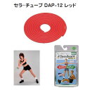 スウィングトレーニング X-23セラ・チューブ DAP-12 レッド【RCP】(4)