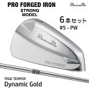 RomaRo PRO FORGED IRON STRONG MODEL プロフォージド アイアン ストロングモデル セット 6本 #5~PW Dynamic Gold ロマロ ゴルフクラブ