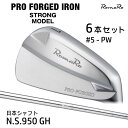 RomaRo PRO FORGED IRON STRONG MODEL プロフォージド アイアン ストロングモデル セット 6本 ＃5～PW N.S. 950GH ロマロ ゴルフクラブ