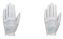 St O[u fB[X p _bv [NVI GGG-X021WW StO[u p DUNLOP XXIO GOLF GLOVE 2024f