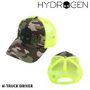 HYDROGEN nChQ Y HgbN hCo[/H-TRUCK DRIVER 210-41289002 CACB_01