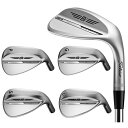 右用 タイトリスト SM10 RAW (ノーメッキ) TOUR TOE STAMP ツアー トゥ スタンプ ウェッジ WEDGEWORKS ダイナミックゴールド S200 US仕様 Titleist ウェッジワークス【あす楽対応】