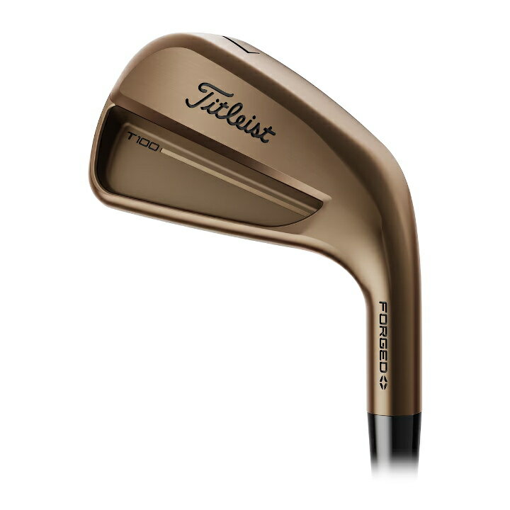乐天商城 - 右用 2026 タイトリスト T100 オイルカン 6本 (5-9,Pw) アイアンセット US仕様 True Temper AMT White Onyx スチールシャフト Titleist Oil Can【あす楽対応】
