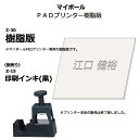 【特注名入れ樹脂版】ライト(LITE)Z-30 マイボールPADプリンター専用 名入れ樹脂版ゴルフボールにプリント