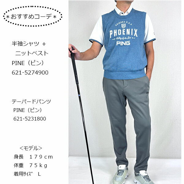 ゴルフウェア 半袖ポロシャツ ニットベスト セット商品 デニムライクニット カノコ レイヤードツインニット 吸汗速乾 クイックドライ ピン 621-5274900 25秋冬