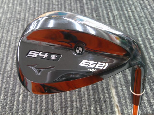 š ߥ Es21 BlackIP 54-12W/Dynamic Gold 120/S200/54[1921]¿Ź