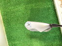 【中古】 キャスコ Dolphin Running Wedge DRW-119 39° 34インチ(ジャンボグリップ) ウェッジ WG Dolphin オリジナルスチール (フレックスその他) メンズ 男性用 右利き 右用 Cランク ゴルフクラブ