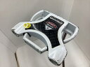 【中古】 テーラーメイド GHOST Spider 34インチ パター PT スチール (フレックスその他) メンズ 男性用 右利き 右用 Dランク ゴルフクラ...