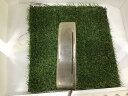 【中古】 ピン ANSER ブロンズ パター PT スチール (フレックスその他) メンズ 男性用 右利き 右用 Dランク ゴルフクラブ