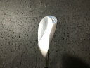 【中古】 キャスコ Dolphin Wedge DW-120G シルバー 52° レディース ウェッジ WG Dolphin DP-151 (フレックスL) レ...