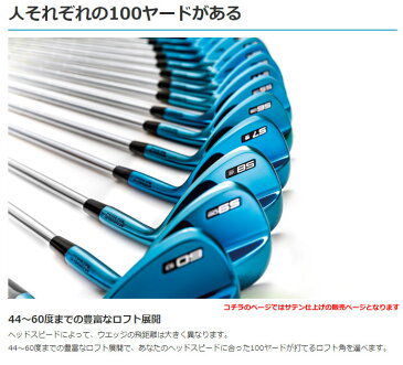 2本以上購入で3000円オフ!ミズノ T20 ウエッジ サテン仕上げ MCI 90 / 100 シャフト 特注カスタムクラブ