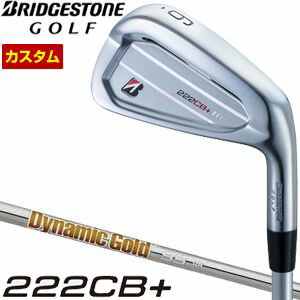 ブリヂストン　ツアーB　222CB+　アイアン　ダイナミックゴールド　95　シャフト　単品[＃4、＃5、＃6、＃7、＃8、＃9、PW]　特注カスタムクラブ