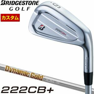 ブリヂストン　ツアーB　222CB+　アイアン　ダイナミックゴールド　105　シャフト　単品[＃4、＃5、＃6、＃7、＃8、＃9、PW]　特注カスタムクラブ