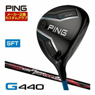 ԥ G440 SFT եå NS PRO REGIO FORMULA M+ ե ९
