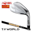 ホンマゴルフ TW-W5 2024 ウエッジ クロム DG105 ONYX BLACK シャフト 特注カスタムクラブ