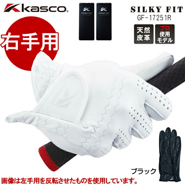 Amazon | キャスコ(Kasco) ゴルフグローブ SILKY FIT シルキー