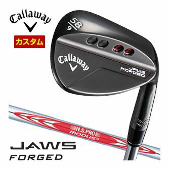 JAWSեɡå㥳֥åN.S.PROMODUS3TOUR105եȡ९