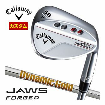 JAWSեɡåࡡDynamicGold95եȡ९