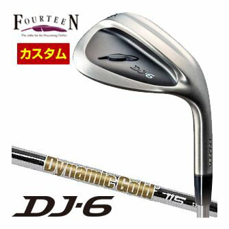 フォーティーン DJ6 Black Edition ウエッジ DG115 シャフト 特注カスタムクラブ