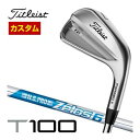 [SALE価格]　タイトリスト　T100　アイアン　N.S.PRO　ZELOS　6　シャフト　6本セット[＃5-P]　特注カスタムクラブ