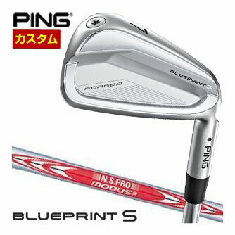 ピン BLUEPRINT S アイアン N.S.PRO MODUS3 TOUR120 シャフト 4本セット[＃7-P] 特注カスタムクラブ