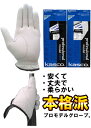 （お届け納期3-5日）キャスコ(kasco) ソフトシープ 本格天然皮革 プロフェッショナルモデル ゴルフグローブ 手袋 1枚 PT-300 (左手装着用 / 右手装着用) メンズ (outlet)　　