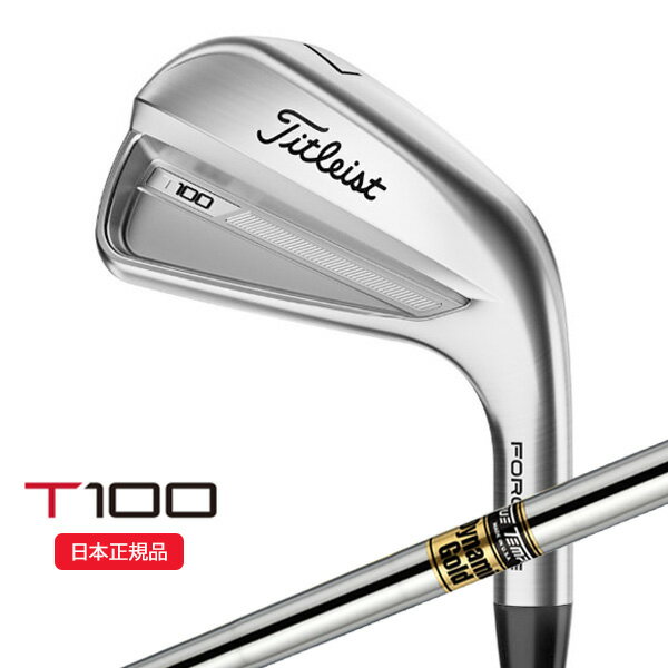 (ポイント10倍)(あす楽対応)タイトリスト(Titleist) Tシリーズ T100 アイアン単品(#3,#4,W50) ダイナミックゴールド(通常ラベル) シャフト 2023年モデル(日本正規品)【ASU】