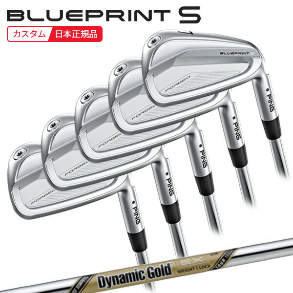 樂天商城 - (ポイント10倍)(特注 納期2-4週)ピンゴルフ ブループリントS(BLUEPRINT-S) アイアンセット(5本 #6-9,Pw) ダイナミックゴールドEXツアーイシュー シャフト 2024年モデル (日本正規品)