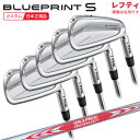 (ポイント10倍)(特注 納期5-7週)(レフティ)ピンゴルフ ブループリントS(BLUEPRINT-S) アイアンセット(5本 #6-9,Pw) N.S.PROモーダス3ツアー120 シャフト 2024年モデル (日本正規品)