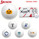 【オリジナルマークプリントボール(納期2-3日)】ダンロップ SRIXON XMAX(エックスマックス) ゴルフボール 1ダース(12球入) 2024年モデル ...