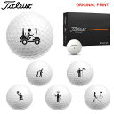 【オリジナルマークプリントボール(納期2-3日)】タイトリスト PROV1 ゴルフボール 1ダース(12球入り) 2025年モデル ピクトグラム マーク入り