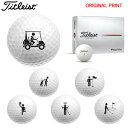 【オリジナルマークプリントボール(納期2-3日)】タイトリスト PROV1X ゴルフボール 1ダース(12球入り) 2025年モデル ピクトグラム マーク入り