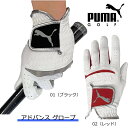 楽天ゴルフギアサージ（セール）PUMA プーマゴルフ アドバンス グローブ（868007）コストパフォーマンスモデル メンズ