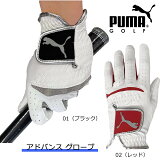 ʥPUMA סޥ ɥХ ֡868007˥ȥѥեޥ󥹥ǥ 