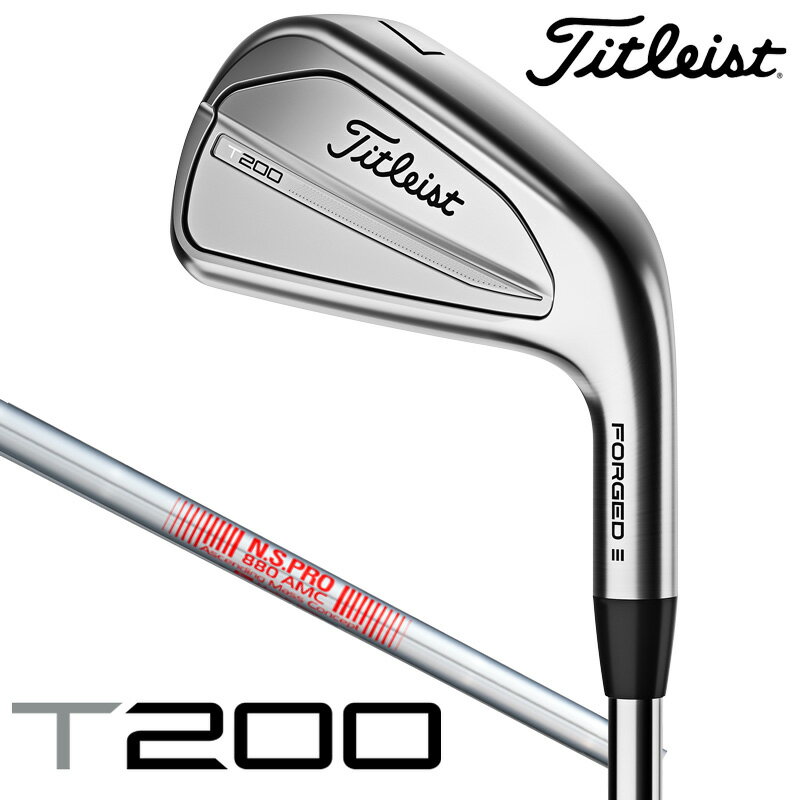 タイトリスト T200 アイアン 6本セット（ 5～9 PW）N.S.PRO 880 AMC スチールシャフト 日本仕様 2023