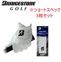 ブリヂストンゴルフ グローブ GLG12（ショートスペック） TOUR GRIP 全天候 ホワイト